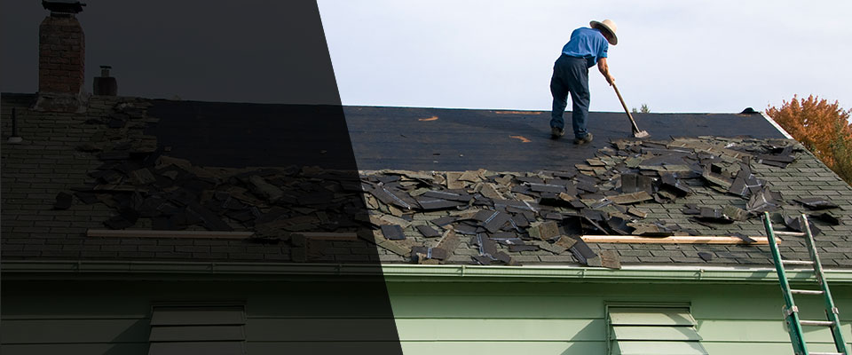 Paradise Roofing Contractors